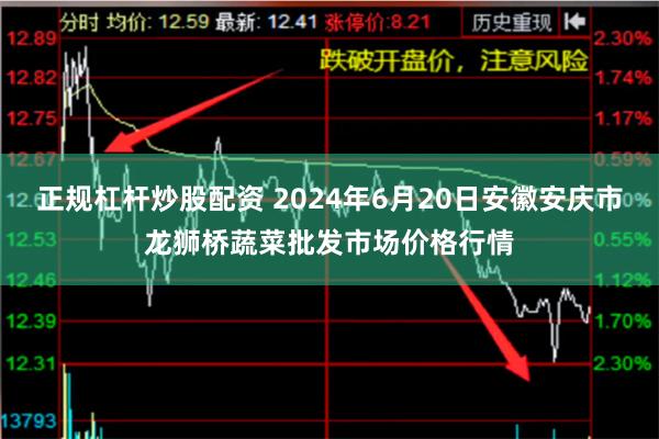 正规杠杆炒股配资 2024年6月20日安徽安庆市龙狮桥蔬菜批发市场价格行情