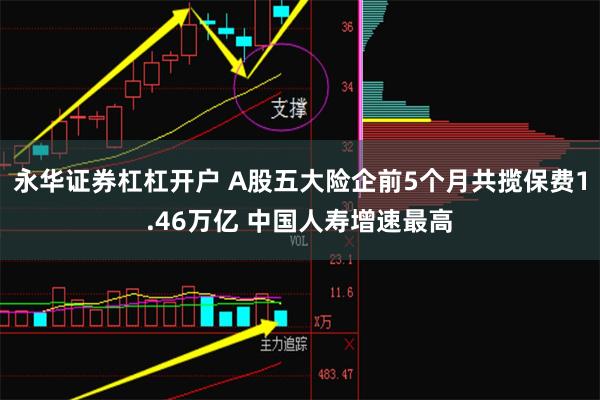 永华证券杠杠开户 A股五大险企前5个月共揽保费1.46万亿 中国人寿增速最高